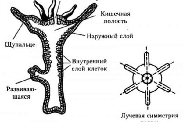 Кракен найдется все что это