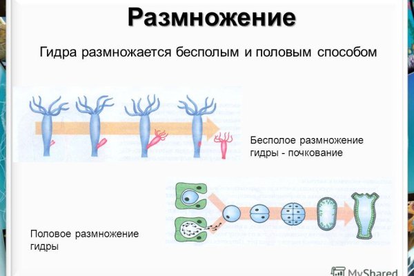 Кракен это даркнет