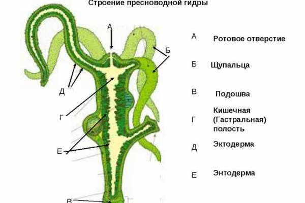 Как зарегаться в кракен