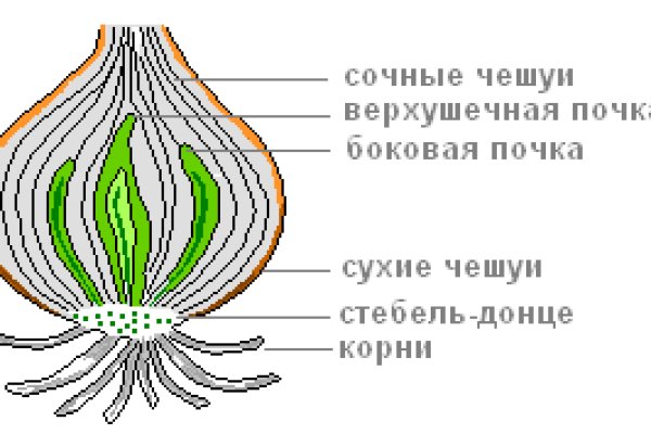 Забыл пароль кракен